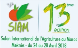 Le SIAM, une occasion pour donner “une image réelle” de l’agriculture marocaine