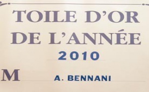 La Fédération nationale de la culture française décerne la Toile d'Or à Afif Bennani