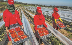 L’OMDH appelle à la création d’une commission d’enquête sur les abus commis contre des Marocaines à Huelva