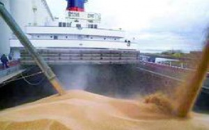 Le gouvernement anticipe une crise mondiale des céréales : Suspension des droits d’importation du blé tendre