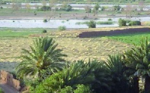 A l’honneur sur la chaîne catalane, Canal 33 : Le Maroc, coqueluche des médias publics occidentaux