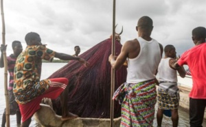Au Bénin, le Zangbéto, divinité vaudoue au secours de la mangrove