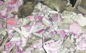 Insolite : Des roupies grignotées par des rats