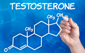 La testostérone pousserait les hommes à consommer plus “prestigieux”