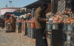 Marché de gros de Casablanca : Le directeur se défausse sur la Commune urbaine