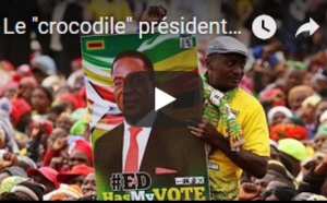 Le "crocodile" président du zimbabwe