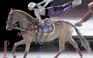 Salon du cheval : Le show hippique d'El Jadida en octobre prochain