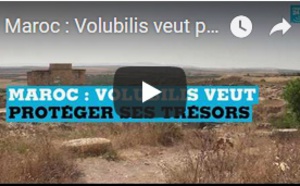 Maroc : Volubilis veut protéger ses trésors