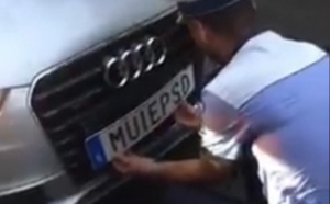 Insolite : Plaques d'immatriculation