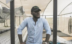 Jeunes, dynamiques, riches et ambitieux, les nouveaux "gentlemen farmers" du Nigeria