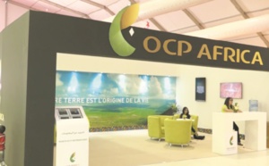 L’OCP fournira de l’engrais phosphatés au Ghana