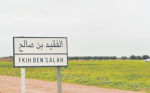 ​Des mesures anticipatives pour garantir le succès  de la nouvelle saison  agricole à Fquih  Ben Saleh