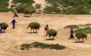 De la farine subventionnée périmée destinée aux ruraux d'Essaouira