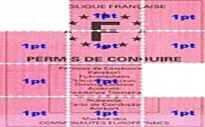 L’arrêté qui en fixe les conditions vient de paraître au BO : L’année sabbatique des permis de conduire étrangers