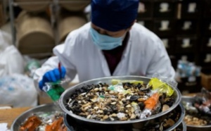 Entre plantes et scorpions, les Chinois attachés à leur médecine traditionnelle