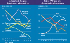 Fléchissement des prix des produits alimentaires à travers le monde