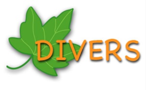 Divers