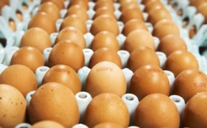 Le Maroc a produit plus de 6,6 milliards d'œufs en 2018