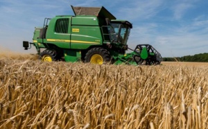 Benslimane enregistre un total de 93 mille ha emblavés en céréales d'automne