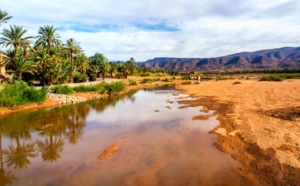 Les oasis à l'épreuve du réchauffement climatique
