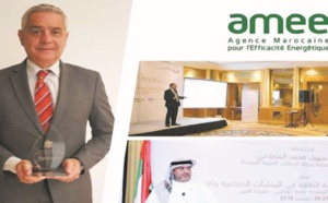 L'AMEE reçoit à Abu Dhabi le Prix de l'efficacité énergétique