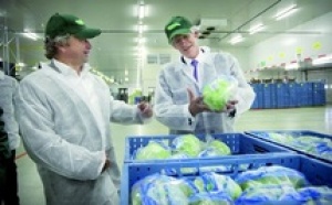 Bactérie Escherichia coli : selon le patron de l'Institut Robert-Koch : Les graines germées à l’origine de l'épidémie