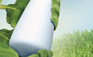 La filière sucrière affiche une capacité de production de 1,65 million de tonnes par an