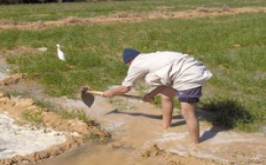L’Etat tiraillé entre subvention et  hausse des tarifs de l’eau d’irrigation