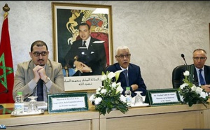 Lutte antidopage : Talbi Alami appelle à associer tous les départements concernés