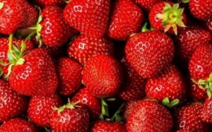 Coup d'envoi dans la province de Kénitra de la 9ème édition du Festival international de la fraise