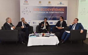 Les écosystèmes des matériaux de construction,  un levier de croissance de l'économie nationale