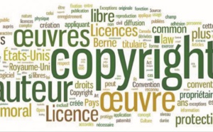 Vers une protection effective du livre et des droits d'auteur