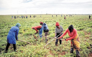 A Coligny, le long chemin de la réconciliation entre les races