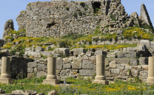 Ouverture du site archéologique Lixus aux  tournages cinématographiques et documentaires
