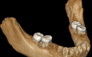 L'homme de Denisova a réussi à vivre sur le plateau tibétain il y a 160.000 ans