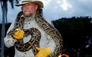 Ces patrouilles qui traquent les pythons la nuit en Floride