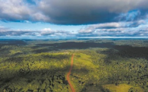 Quand la déforestation transforme l'Amazonie en baril de poudre