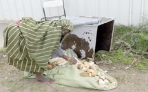 Après l’arrêt des violences : Lente reprise des activités commerciales  à Tripoli Après l’arrêt des violences : Lente reprise des activités commerciales  à Tripoli