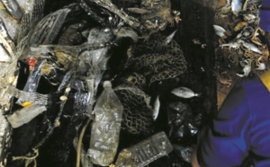 A la pêche au plastique dans l'Adriatique