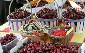 Sefrou enregistre une hausse de 85% de sa production des cerises en 2019