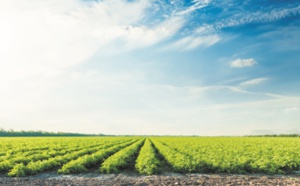 L'agriculture peut aussi rafraîchir la planète