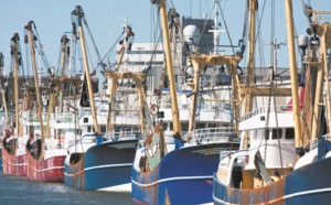 Bonne tenue de l’activité du secteur de la pêche