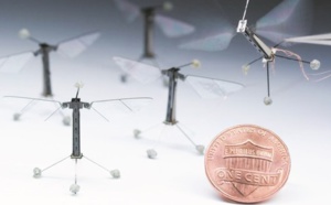 RoboBee, le plus petit robot insecte volant
