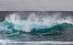 Antibiotiques, additifs alimentaires et pesticides retrouvés en mer