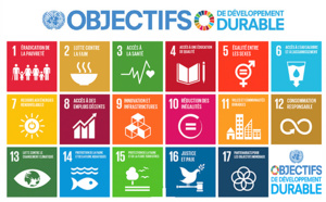 Appel à prioriser les objectifs  de développement en Afrique