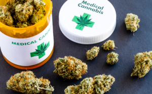 Le cannabis médical, entre bienfaits thérapeutiques et économiques