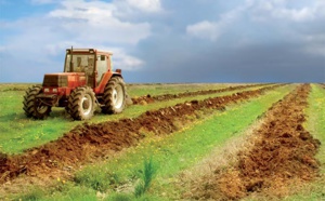 Performance satisfaisante  des activités non agricoles