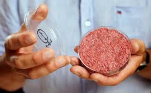 La viande de laboratoire en réponse à une demande mondiale croissante