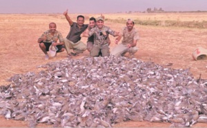 Une partie de chasse d’oiseaux indigne la Toile