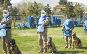 En Afghanistan, le meilleur ami de l'homme est un chien renifleur d'explosifs